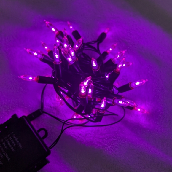 Christmas Lights, 50-Count Black Wire Light Set, Battery Operated Lights (EUC) - Picture 3 of 6